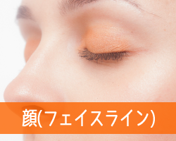 ���ʕʁF��(�t�F�C�X���C��)