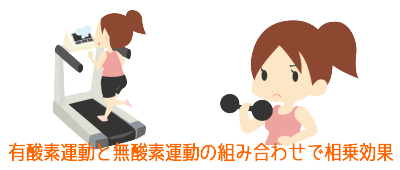 �_�C�G�b�g�̐���