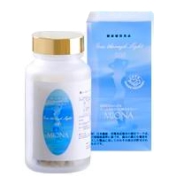 シースルーライト